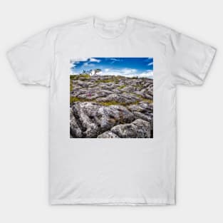 Limestone Pavement T-Shirt